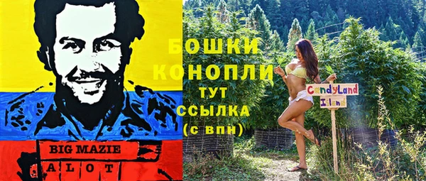 гидропоника Балабаново