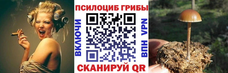 Галлюциногенные грибы Psilocybine cubensis продажа наркотиков Макушино